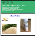 Hot Sale! High Purity Rice Protein